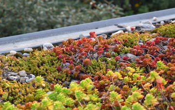 the cost of East Appleton green roof installation