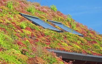 East Appleton living roof systems