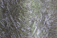 East Appleton fibreglass roof work